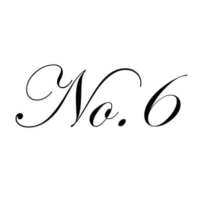 No. 6 Store logo